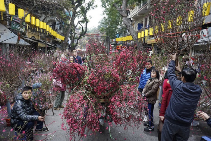 Sắc đào đỏ rực chợ hoa Tết đặc biệt ở phố cổ Hà Nội