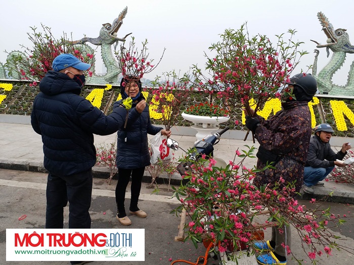 Nhộn nhịp chợ hoa Vườn hoa Nguyễn Hoàng Tôn mỗi dịp Tết đến xuân về