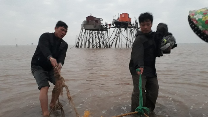 24h ngoài khơi cùng ngư dân Hải Phòng thu hoạch ngao đón Tết