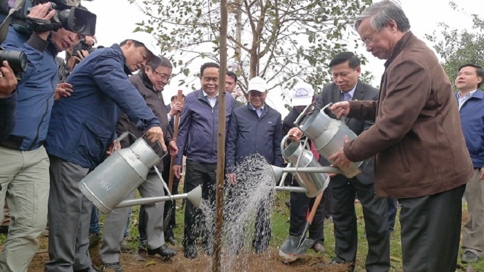 Tết trồng cây 2018: Thêm 60.000 cây xanh được trồng tại Bắc Ninh