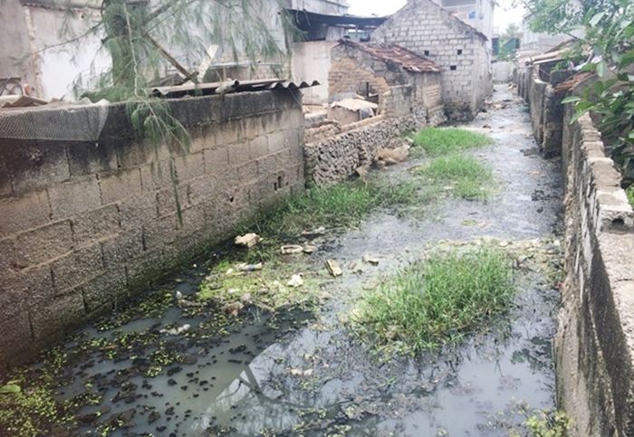 Quỳnh Lưu (Nghệ An): Người dân bức xúc vì mương nước ô nhiễm