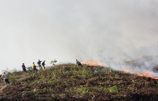 Đắk Lắk: Nguy cơ xảy cháy tại khu vực rừng chết khô sau bão