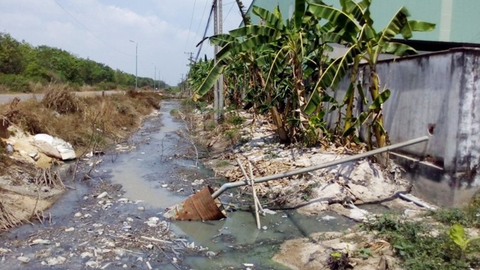Tây Ninh: Mương nước ô nhiễm ngay sát đường dân sinh