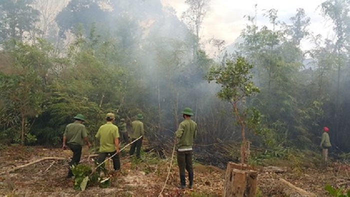 Hàng chục ha rừng ở Gia Lai bị cháy trụi kéo dài suốt hai ngày