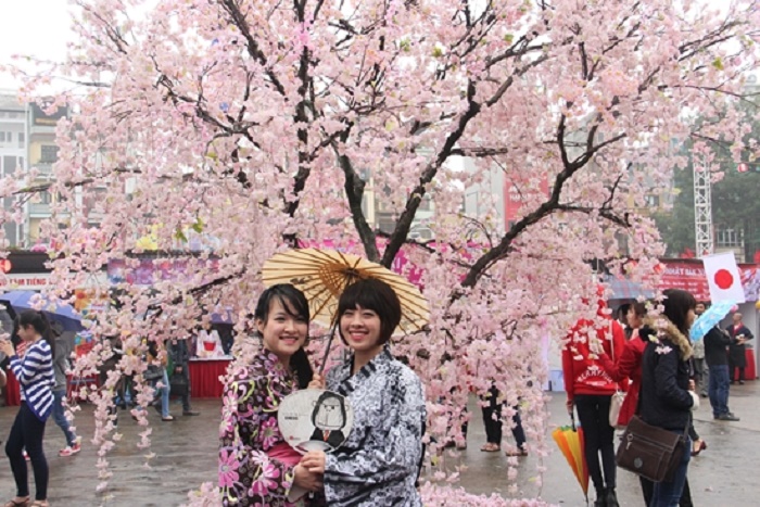 Giao lưu VH Nhật Bản: Trưng bày 30 cây và 10.000 cành hoa anh đào
