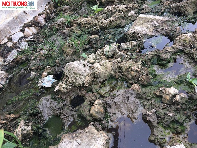 Quảng Xương - Thanh Hóa: Dân kêu trời vì ô nhiễm môi trường.
