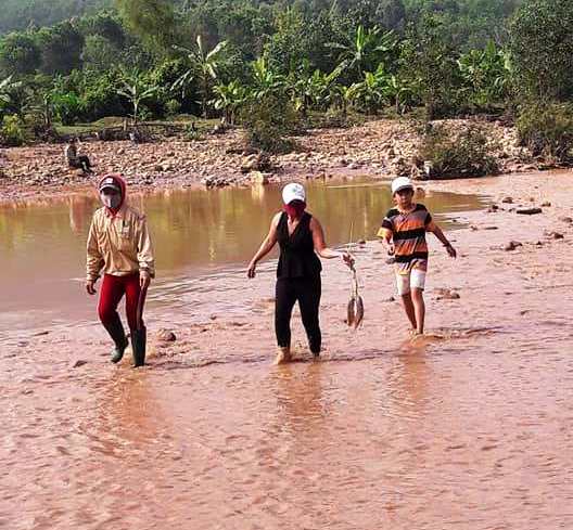 Vỡ đập chứa nước thải tại bãi vàng Bồng Miêu, cá sông chết hàng loạt