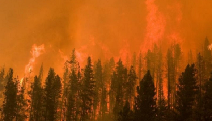 Cháy rừng nghiêm trọng ở Australia, thiêu rụi hàng chục ngôi nhà