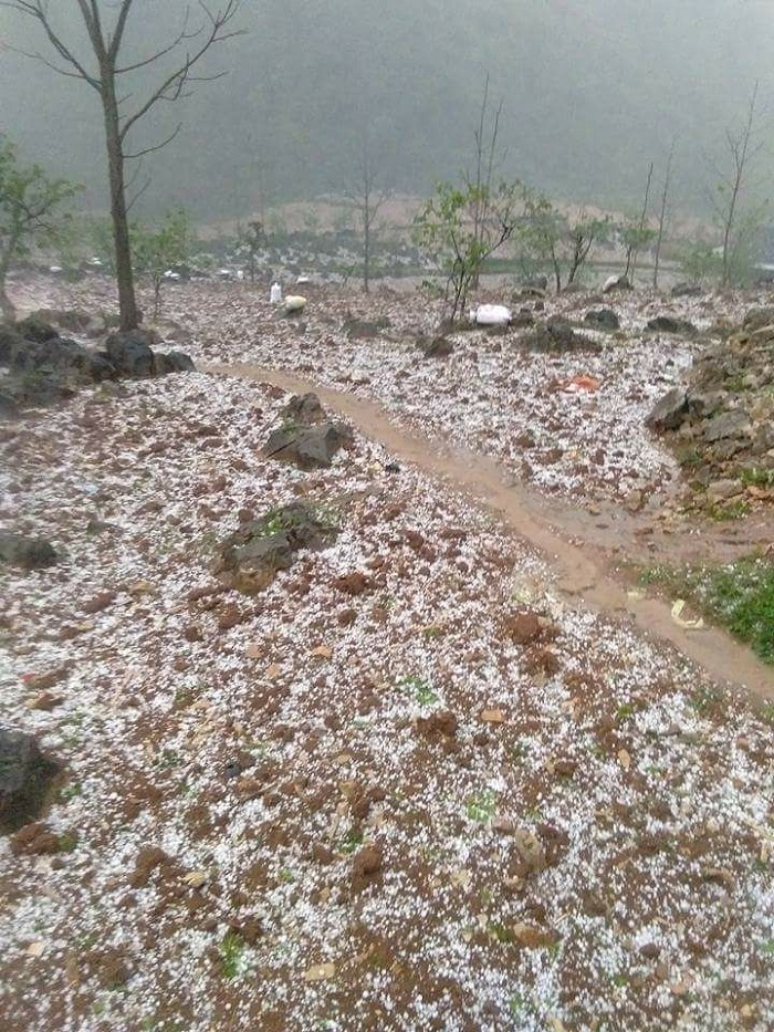 Mưa đá kèm lốc xoáy gây thiệt hại hơn 1,2 tỷ đồng ở Cao Bằng