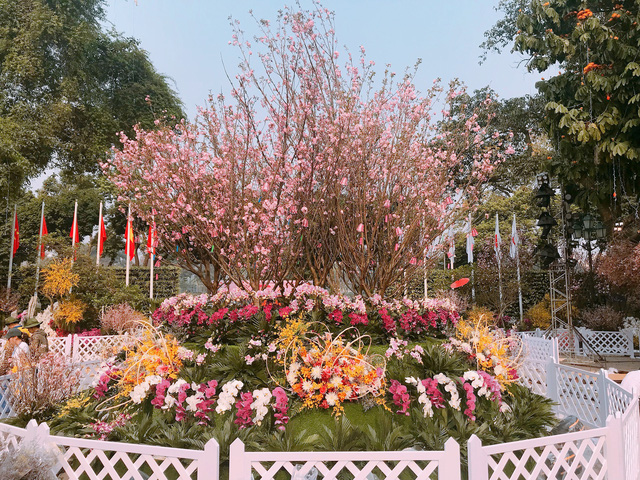 Lễ hội hoa anh đào Nhật Bản 2018: Trăm hoa khoe sắc trước giờ khai mạc