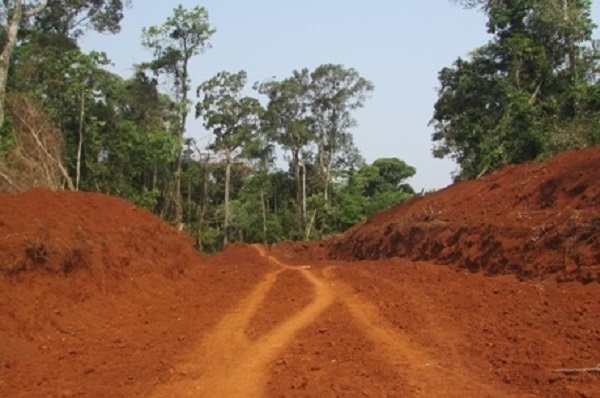 Đắk Nông: Ngang nhiên mở đường trái phép trong rừng vành đai biên giới