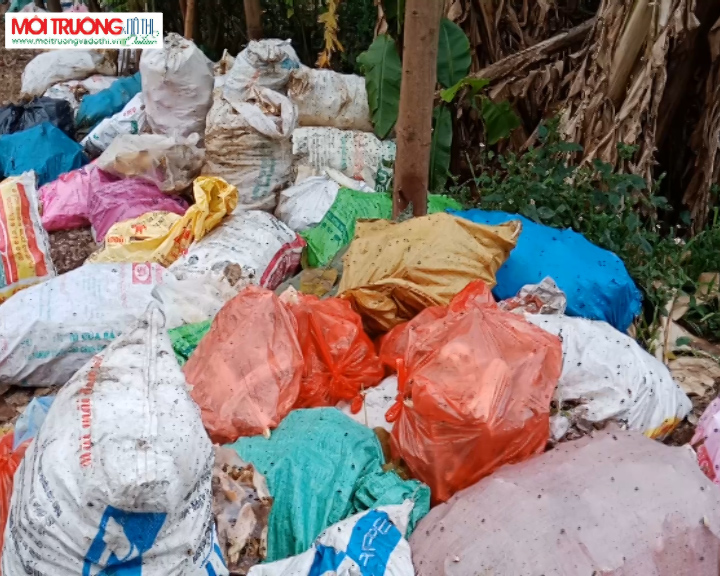 Hành trình truy tìm hàng trăm bao tải xương bốc mùi ở đường Phú Minh