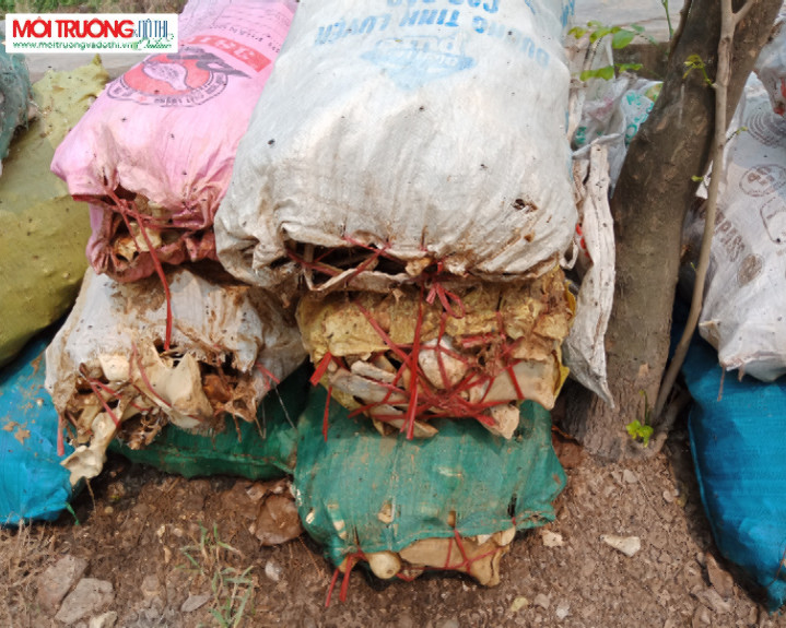 Bản tin môi trường ngày 2/4: Bao tải xương bốc mùi ở đường Phú Minh