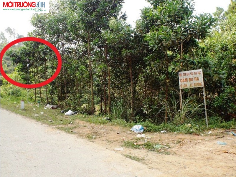Hà Tĩnh: Lắp camera giám sát tình trạng vứt rác bừa bãi
