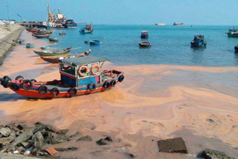 Đã có kết luận ban đầu về dải nước màu đỏ dọc bờ biển ở Quảng Bình