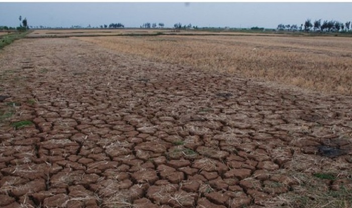 Mùa khô sẽ còn kéo dài tại Ninh Thuận tới tháng 9/2018