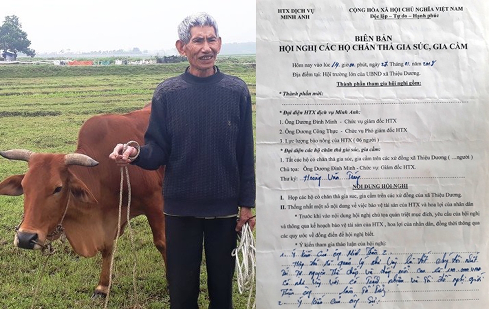 Vụ “chăn trâu bò phải đóng phí cỏ”: Chủ tịch TP Thanh Hóa lên tiếng