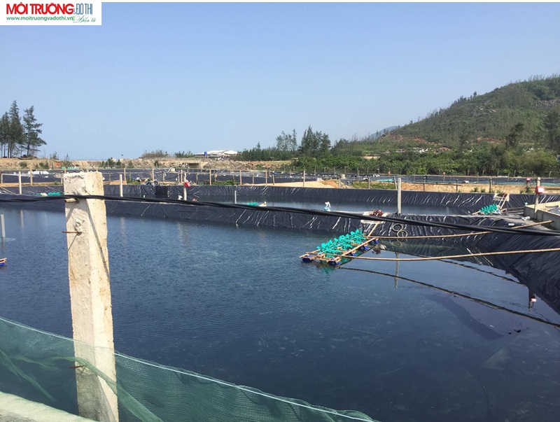 Hồ tôm 'bức tử' môi trường ở Hà Tĩnh: Chính quyền có bật đèn xanh?