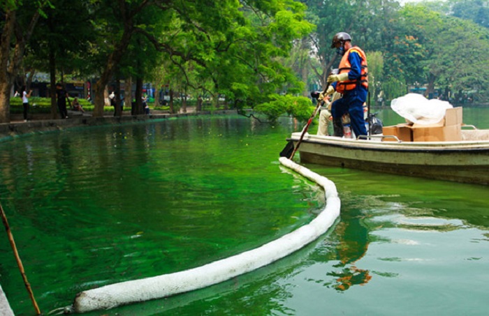 Nước hồ Gươm thành “màu xanh bất thường”: Không phải tảo độc?