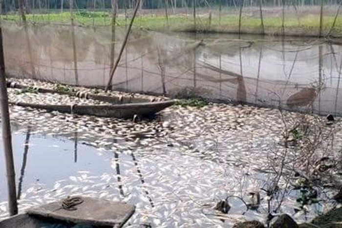 Hàng nghìn hộ dân Hà Nam kêu cứu vì sông Châu Giang ô nhiễm