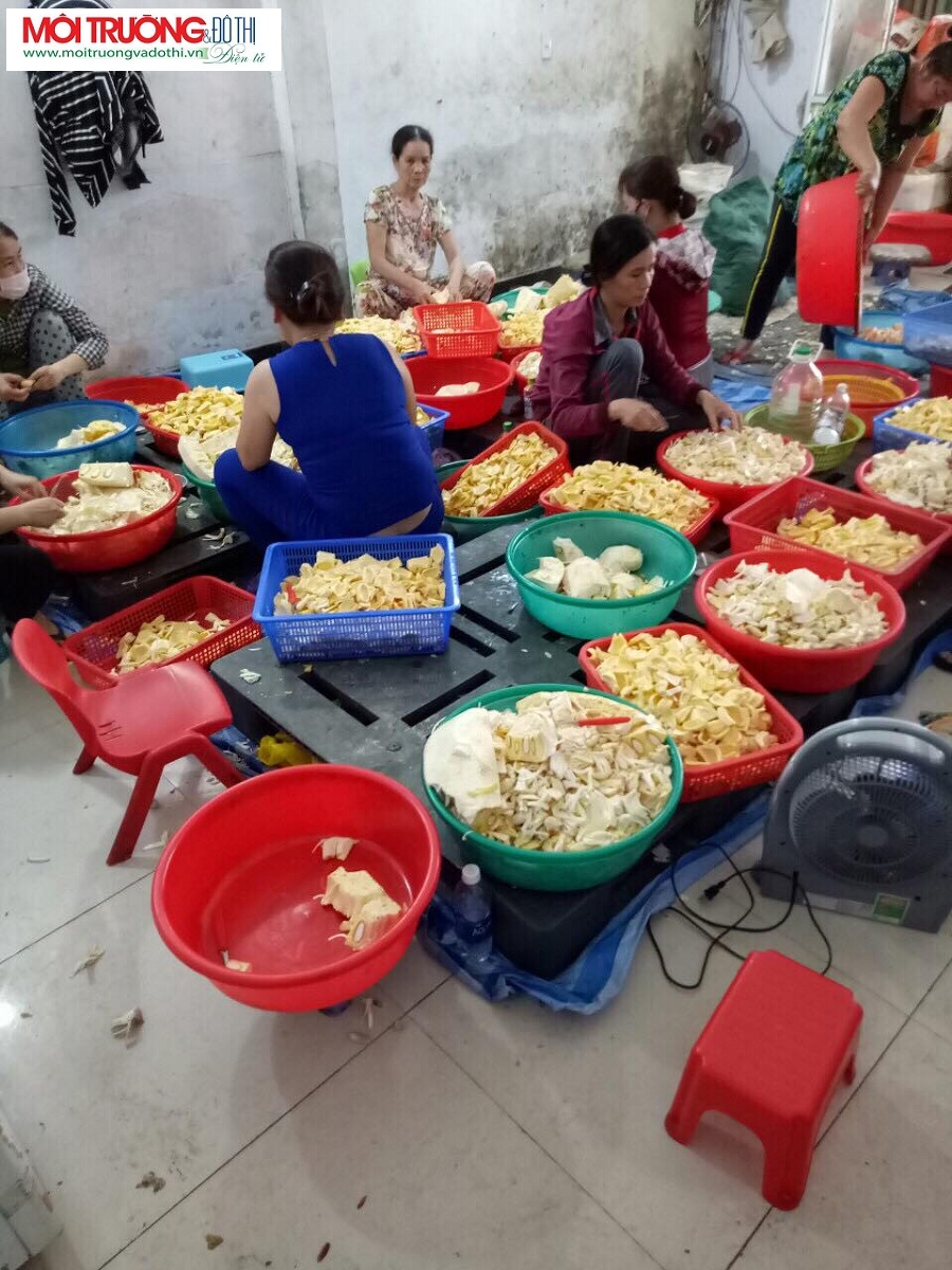 Đà Nẵng: Phát hiện 350kg nguyên liệu chế biến chè không rõ nguồn gốc