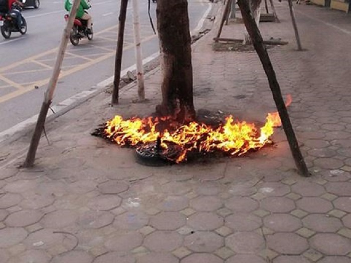 Hà Nội xử lý nghiêm hành vi đốt cây xanh trên đường Võ Chí Công