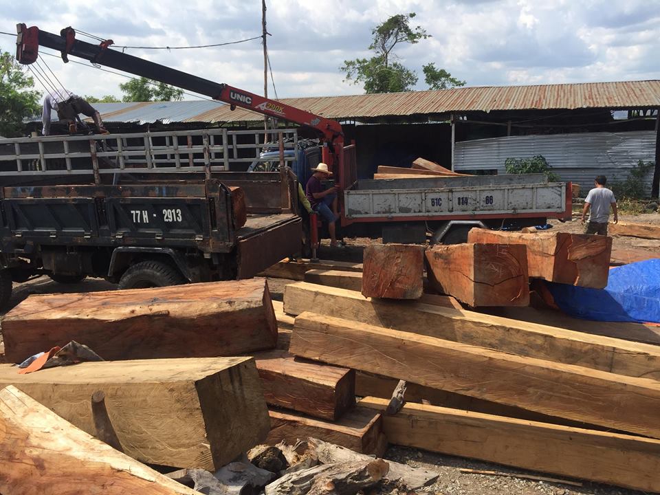 Gia Lai: Bắt khẩn cấp một 'trùm' gỗ lậu
