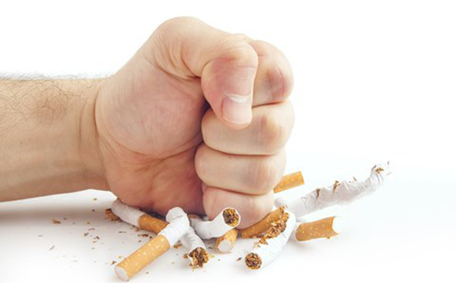 Bộ TN&MT hưởng ứng Tuần lễ quốc gia không thuốc lá