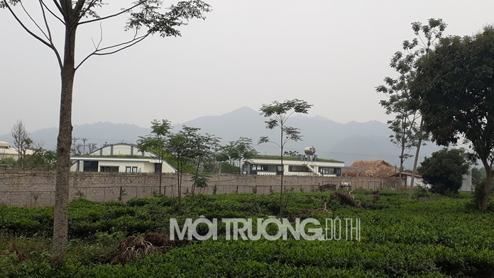 Thanh tra sở TNMT Hà Nội trả lời vụ khu nghỉ dưỡng trái phép ở Ba Vì