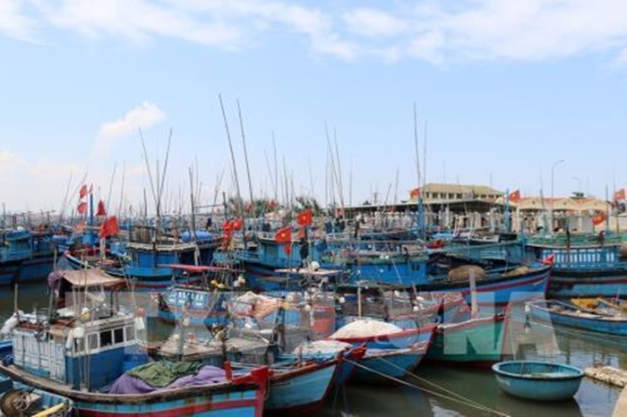 Phú Yên sớm khơi thông luồng cho tàu thuyền ra vào cảng cá an toàn