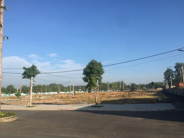 Vụ 4 ha đất trồng rừng thành DA KDC Long Thành