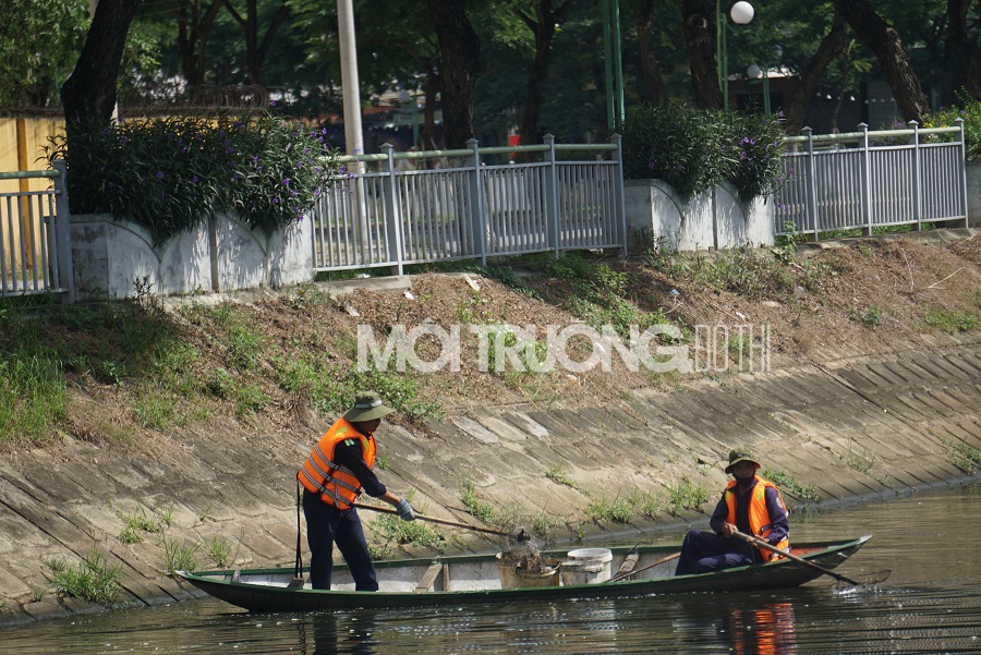 Đà Nẵng: Làm rõ nguyên nhân cá chết nổi trắng trên sông Phú Lộc