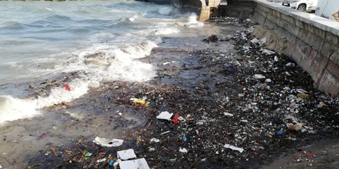 Tin môi trường ngày 21/6: Vũng Tàu lo mất khách vì núi rác từ biển