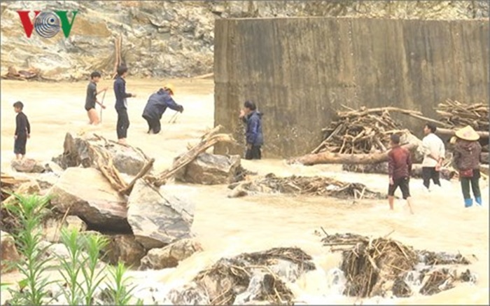 Bất chấp hiểm nguy, người dân Lai Châu vẫn đi vớt củi trong mưa lũ