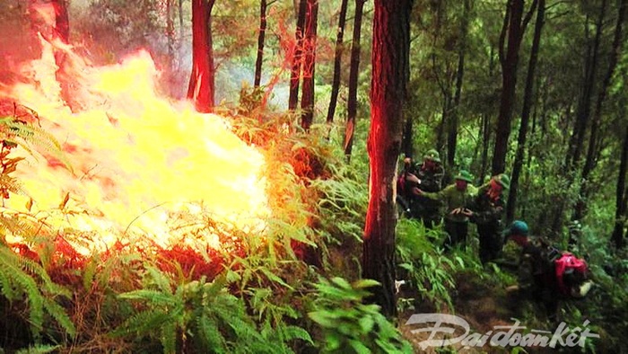 ‘Bà hỏa’ thiêu rụi gần 20 ha rừng phòng hộ