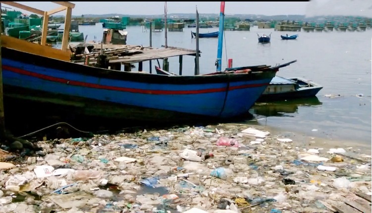 Người dân ven biển vịnh Cam Ranh giăng lưới cản rác