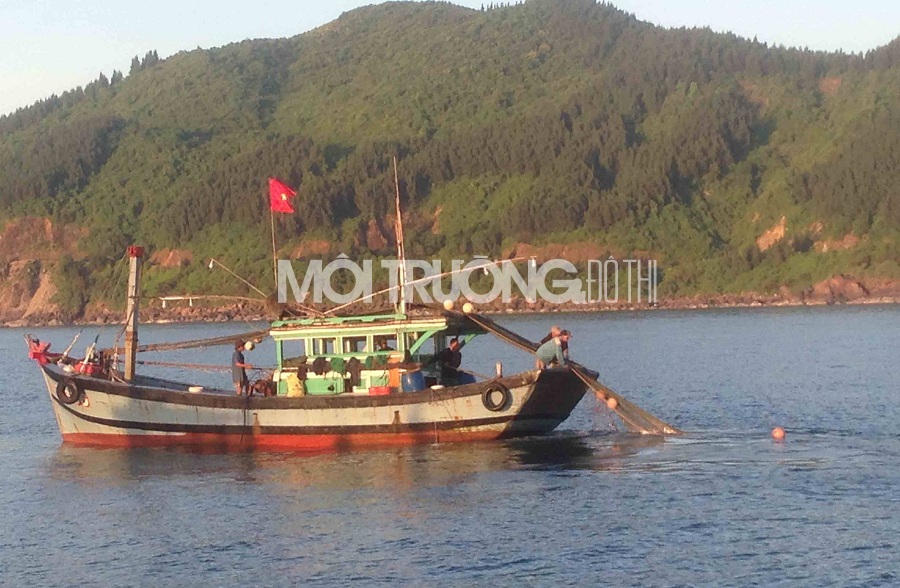 Huế: Bắt 2 tàu giã cào trái phép mang biển số Đà Nẵng ở mũi Chân Mây