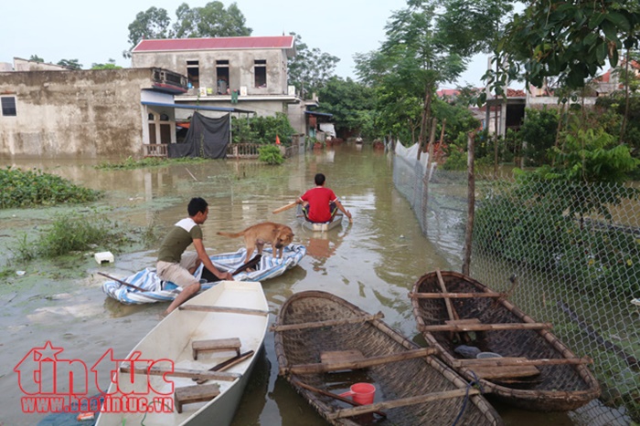 Người dân xã Tân Tiến sống trong cảnh ngập lụt và ô nhiễm