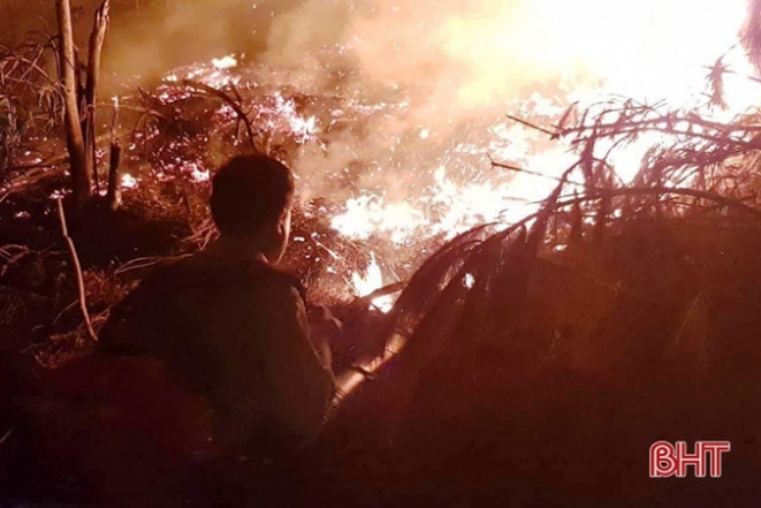 Hà Tĩnh: 'Bà hỏa' thiêu rụi hơn 1,5 ha rừng keo trong đêm