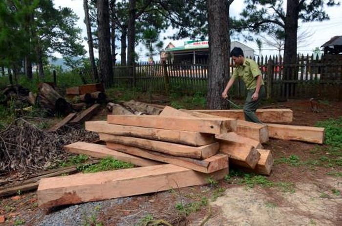 Đắk Nông: Thu hồi dự án du lịch để mất rừng