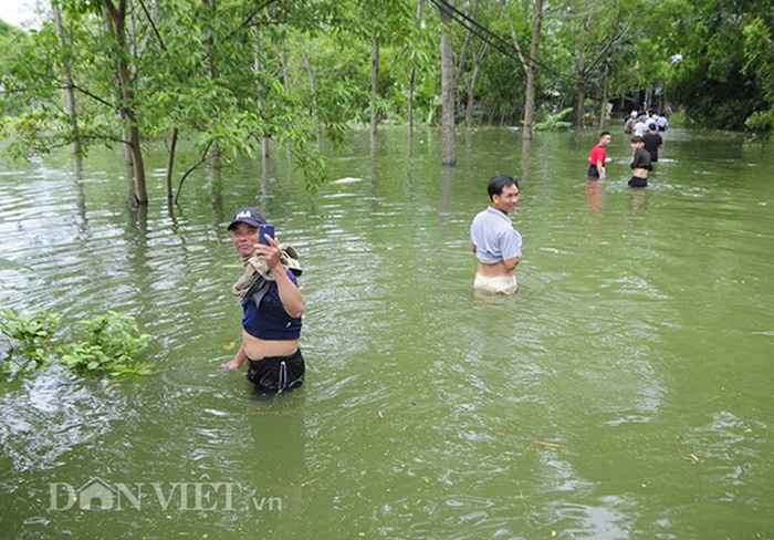 Ngập lụt kéo dài ở Chương Mỹ: “Không thể ngủ được vì nước ăn chân”