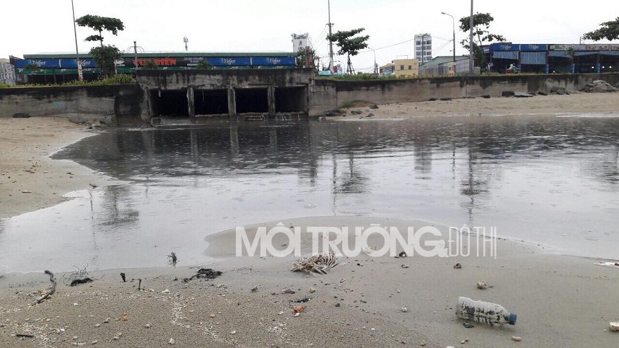 Đà Nẵng: Lợi dụng mưa to, nước thải đen kịt tiếp tục ào ào ra biển