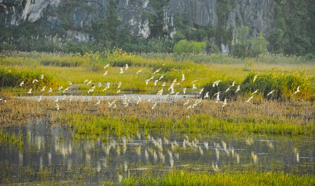 Khám phá Khu bảo tồn thiên nhiên ngập nước Vân Long