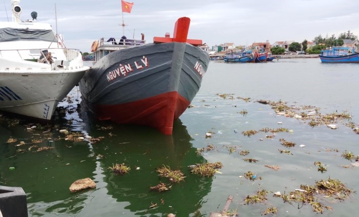 Xả rác vô tội vạ, cảng Sa Kỳ “chết” dần trong ô nhiễm
