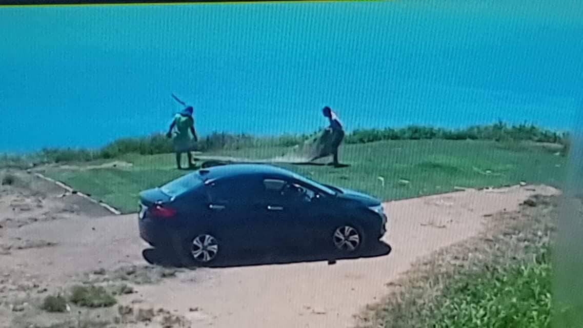 Đà Nẵng: Truy tìm 2 người đi ô tô trộm cỏ nhân tạo ở bán đảo Sơn Trà