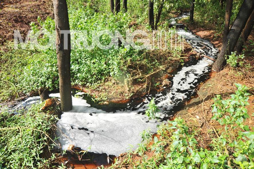 Gia Lai: Nước rỉ thải từ bãi chôn lấp rác đổ trực tiếp ra suối