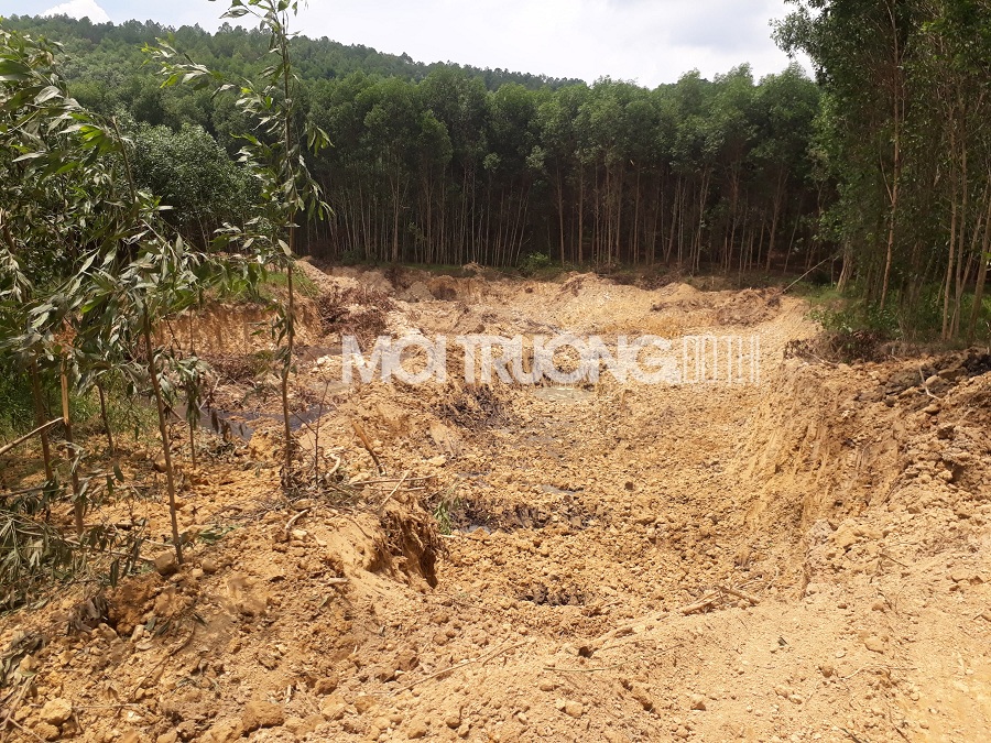 Huế: Xới tung cả khu rừng tràm để “trộm” đất mang đi bán
