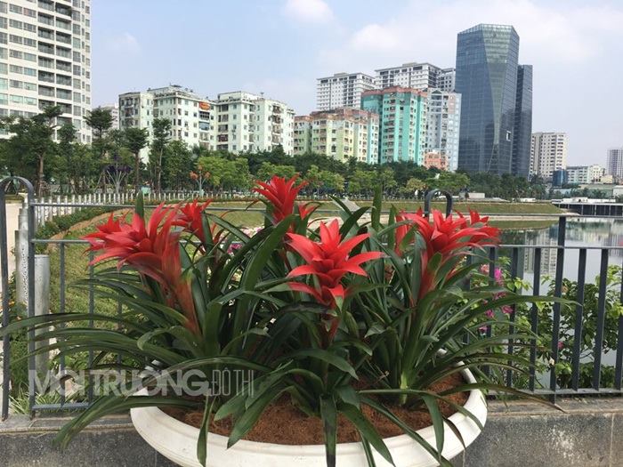 Hà Nội: Người dân háo hức với công viên 300 tỷ vừa mở cửa