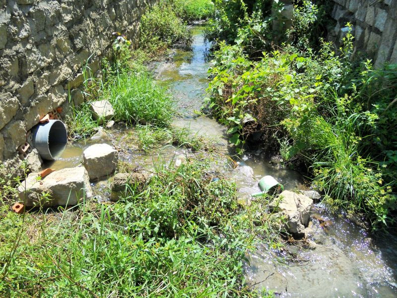 Bình Định: Ô nhiễm môi trường tại CCN Cát Trinh