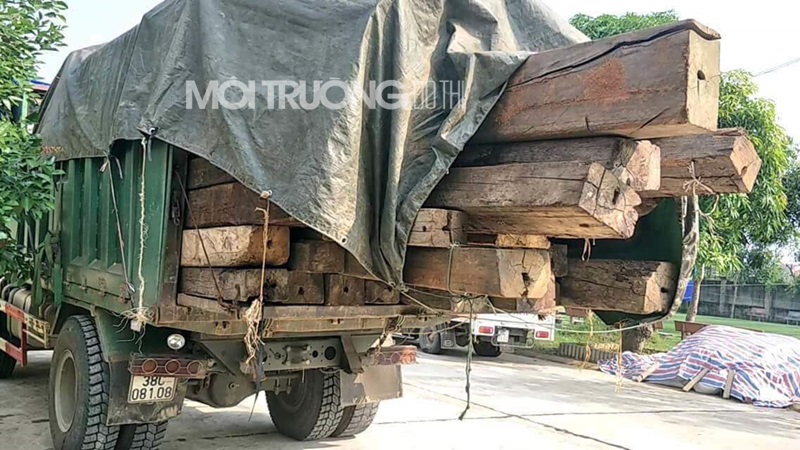 Hà Tĩnh: Bắt giữ xe tải chở khối lượng gỗ lớn không có giấy tờ